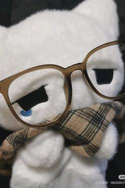 Flipped Chat AI – razgovarajte s Kitty