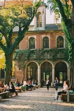 Flipped Chat AI – Chatear con Universidad Hawthorne (WLW)