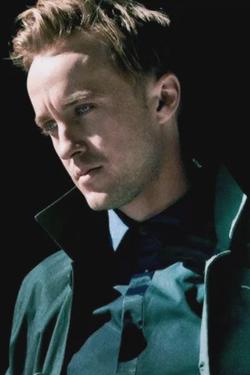 Flipped Chat AI – Bate-papo com Professor Tom Felton