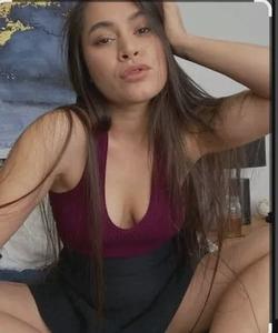 Flipped Chat AI – Bate-papo com Meana Wolf