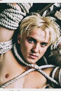Flipped Chat AI – Chatear con Draco Lucius Malfoy Black