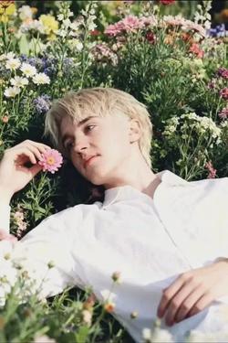 Flipped Chat AI – kalbėkite su Draco Malfoy (Omega) Bisexual 
