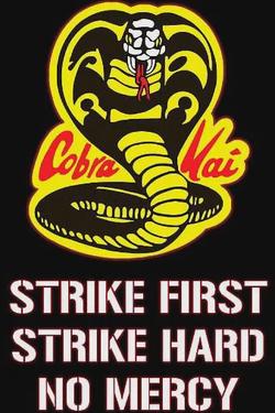 Flipped chat ai - makipag -chat sa Cobra Kai (Sensei/Estudyante)