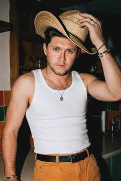 Flipped Chat AI – Chat cu Niall Horan
