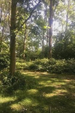 Odwrócony czat AI – rozmawiaj z Magiczny świat