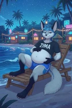 Flipped Chat AI – 與 Zima 聊天