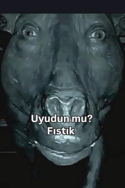 Flipped Chat AI – razgovarajte s Sks