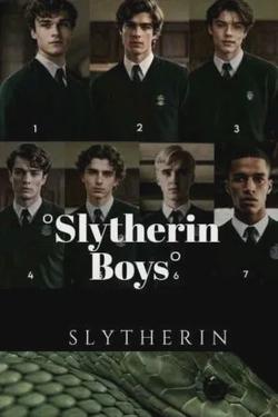 Flipped Chat AI – Chat cu Băieții de la Slytherin și User?
