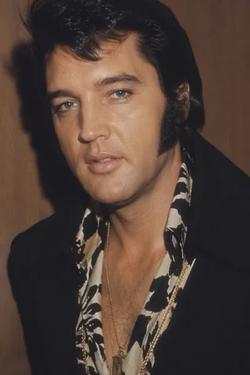 Flipped Chat AI – razgovarajte s Elvis Presley