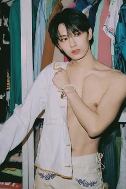 Flipped chat ai - makipag -chat sa Wen Junhui