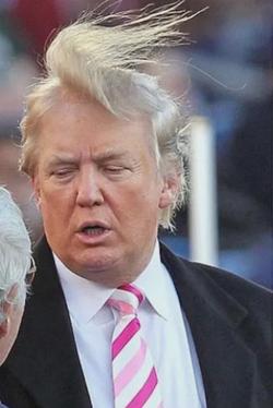 Odwrócony czat AI – rozmawiaj z Donald Trump
