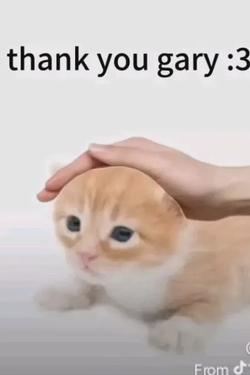 Flipped chat ai - makipag -chat sa Gary