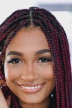 Omgedraaide chat AI – Chat met Addis Fouche