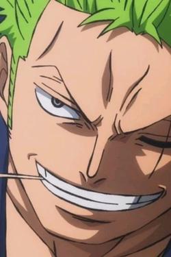 Flipped Chat AI – Bate-papo com Roronoa Zoro