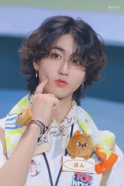 Flipped Chat AI – Chat cu Han jisung
