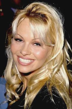 Flipped Chat AI – Chatta med Pamela Anderson