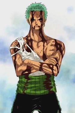 Flipped Chat AI – Bate-papo com Roronoa Zoro