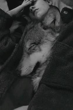 Flipped Chat AI – Chatear con Luke [Your Big Pet Wolf]