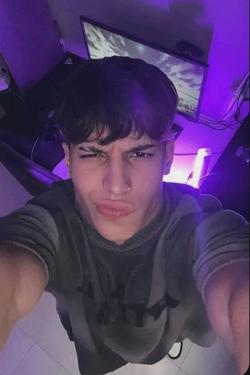 Flipped Chat AI – Bate-papo com Llanos