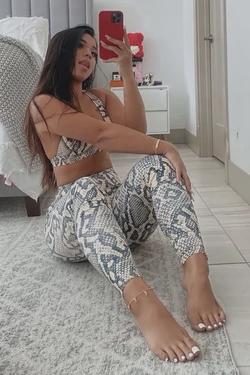 Flipped Chat AI – Chat Roya