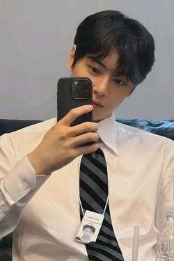 Omgedraaide chat AI – Chat met Cha Eun Woo