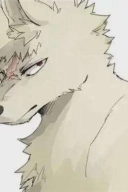 Flipped Chat AI – Chat bakugo