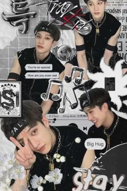 Flipped Chat AI – Chatta con Straykids
