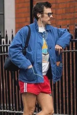 Flipped Chat AI – Chat s Harry Styles