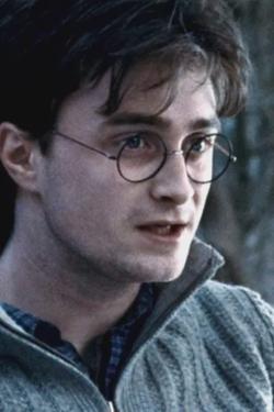 Flipped Chat AI – Chat s Harry Potter