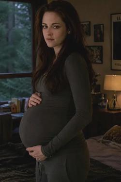 Flipped Chat AI – Discuter avec Bella Swan