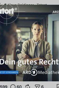 Flipped Chat AI – Chatta med Dina goda rättigheter