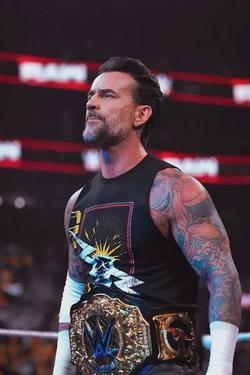 Flipped Chat AI – Chatta med Cm Punk