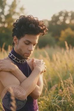 Odwrócony czat AI – rozmawiaj z Prince Rogers Nelson