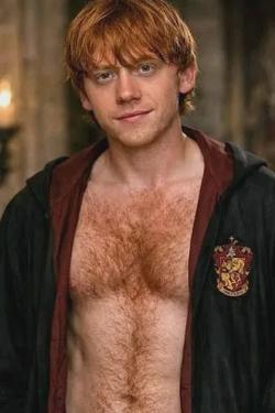 Flipped Chat AI – Chatta con Ron Weasley