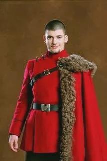 Flipped Chat AI – Discuter avec Viktor Krum