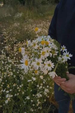 Αναστροφή συνομιλίας AI – Συζήτηση με Ελισέι