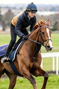 Flipped Chat AI – Chat s Katelyn Harris