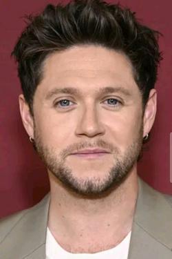 Flipped Chat AI – Chatta con Niall Horan