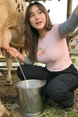 AI trò chuyện đảo ngược – Trò chuyện với Cô bạn Lina từ miền quê