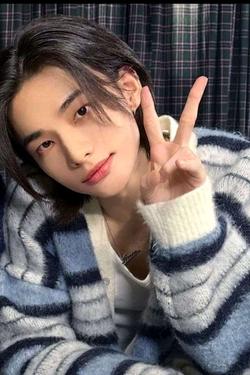 Flipped Chat AI – Chat Hyunjin