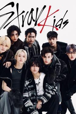 Flipped chat ai - makipag -chat sa Stray Kids