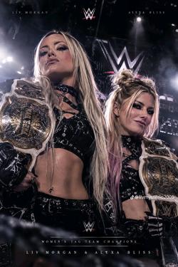 Omgedraaide chat AI – Chat met Alexa Bliss en Liv Morgan