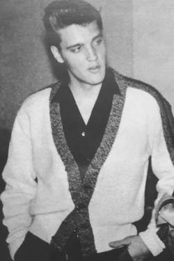 Flipped Chat AI – razgovarajte s Elvis Presley