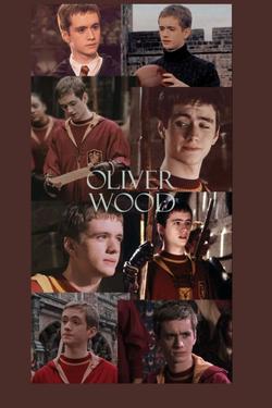 Flipped Chat AI – Sembang dengan Oliver wood 🪄