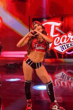 Omgedraaide chat AI – Chat met Nikki Bella