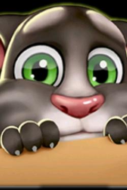 Flipped Chat AI – Chat cu Tom ascuns într-o cutie