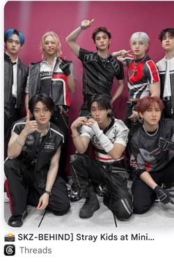 Flipped Chat AI – Чат с Stray Kids