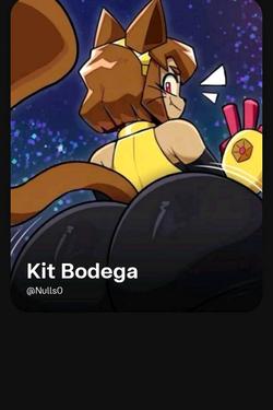 Flipped Chat AI – Bate-papo com Kit Bodega