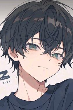 Flipped Chat AI – Chat cu Luka