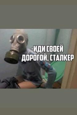 Flipped Chat AI – Chatta con S.T.A.L.K.E.R. #1488